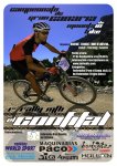 cartel confital.jpg