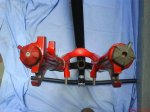 DSC01737.jpg