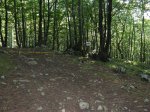 IMG_1707 (Medium).JPG