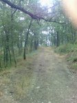 10092008053.jpg