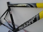 giant amar 2.JPG