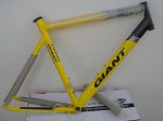 giant once 1.jpg