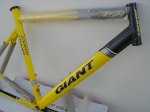 giant once 2.jpg