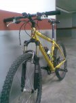 amarilla 2.jpg