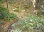 Foto4.JPG