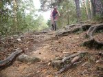 Foto5.JPG