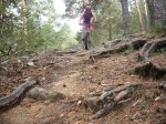 Foto6.JPG