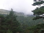 Foto11.JPG