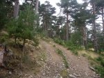 Foto16.JPG