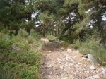 Foto18.JPG