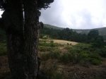 Foto20.JPG