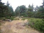 Foto22.JPG