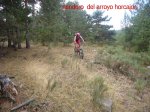 Foto26.JPG