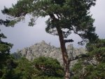 Foto36.JPG