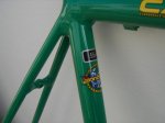 cannondale verde 2.JPG