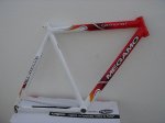 DSC05376.jpg