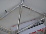 DSC05382.jpg