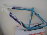 DSC05403.jpg