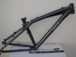 ruckus ant 1.JPG