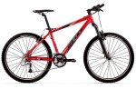 mi bici.jpg