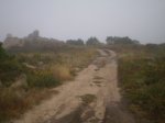 P9100091.JPG