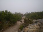 P9100095.JPG