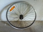 DSC00567.jpg