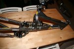 mongoose 004_1024x683.JPG