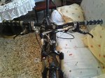 DSC00825.jpg