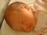DSC04294.jpg