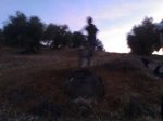 11092008412.jpg