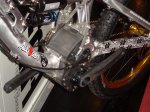 SL381081.jpg