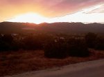 IMAG0105.jpg