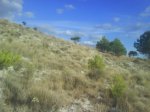 DSC00283.JPG