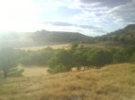 DSC00281.JPG