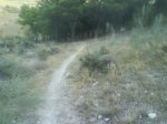 DSC00298.JPG