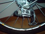 DSC00067.jpg