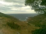 capdecreus 007b.jpg