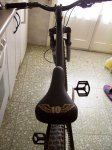 mi bike 010.jpg