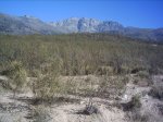 fotos 003.jpg