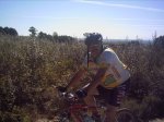 fotos 010.jpg