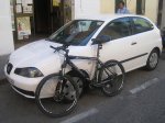 IMG_0022.jpg