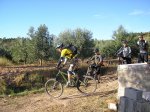 carrito 007.jpg