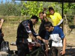 carrito 025.jpg