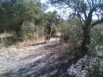 el recorrido del 05-10-2008 043.jpg