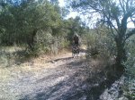 el recorrido del 05-10-2008 044.jpg