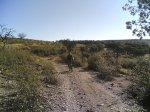 el recorrido del 05-10-2008 047.jpg