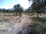 el recorrido del 05-10-2008 052.jpg