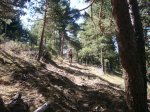 Foto20.JPG