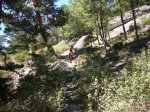 Foto32.JPG